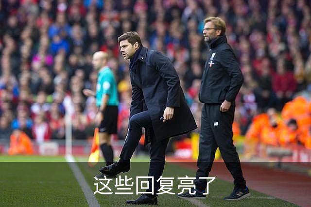 这些回复亮了