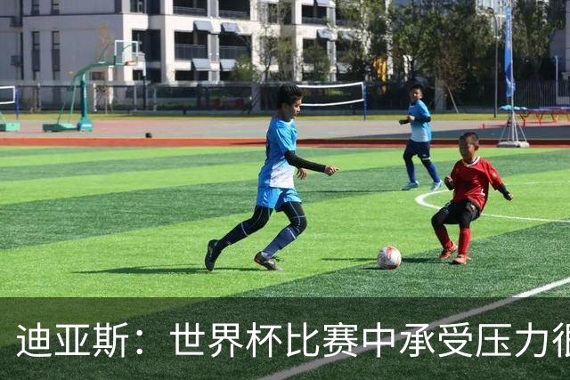 迪亚斯：世界杯比赛中承受压力很正常，相信摩洛哥能取得好成绩