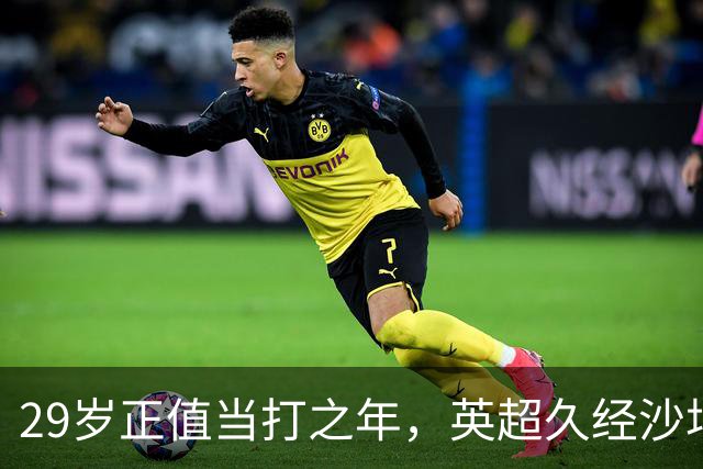 29岁正值当打之年，英超久经沙场，红魔拿下即战力中场拼图